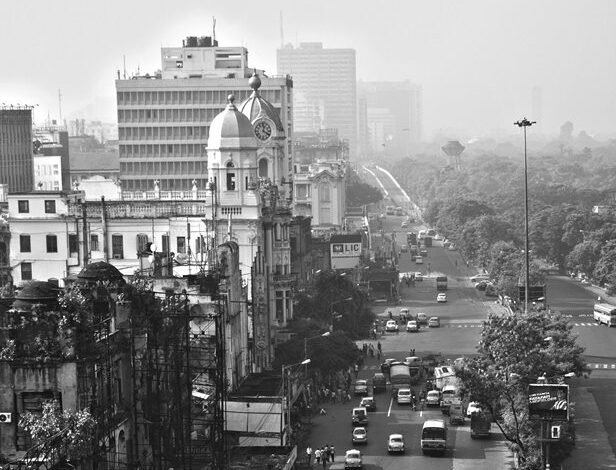 indian insurance query input