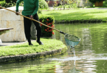 Cleaner Pond