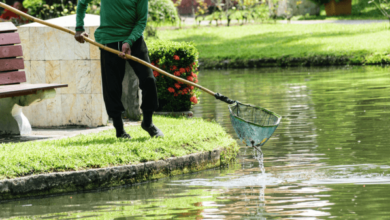 Cleaner Pond