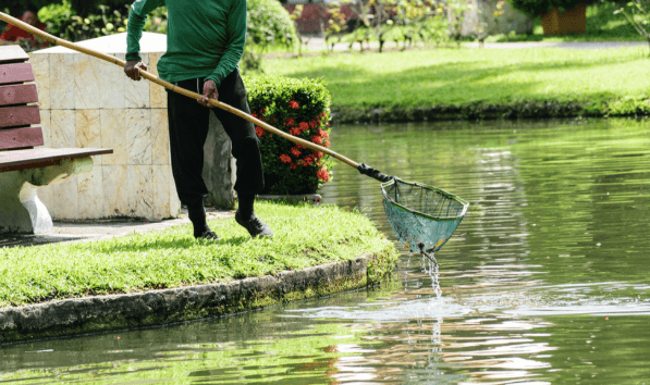 Cleaner Pond