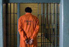 5 Major Advantages of Inmate Search Tool for Families