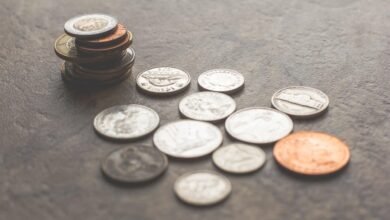 Money Made Simple: Lamina’s Smart Financing Hacks