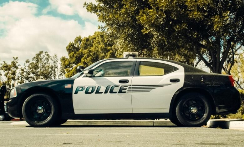 sanders law services overview