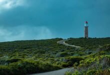 competitive expansion forecast guide