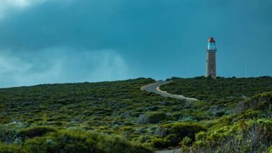 competitive expansion forecast guide