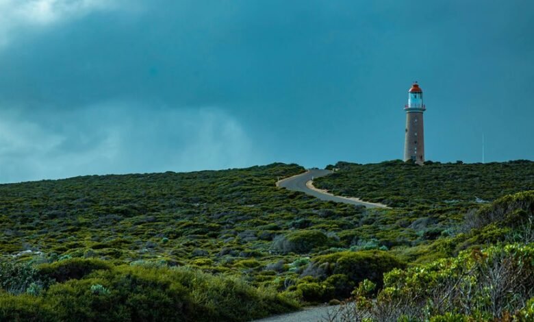 competitive expansion forecast guide