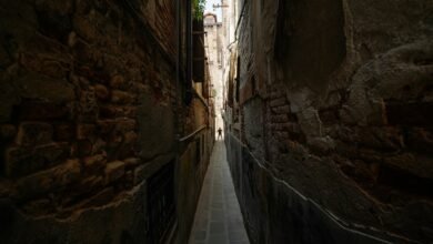 competitive market analysis overview