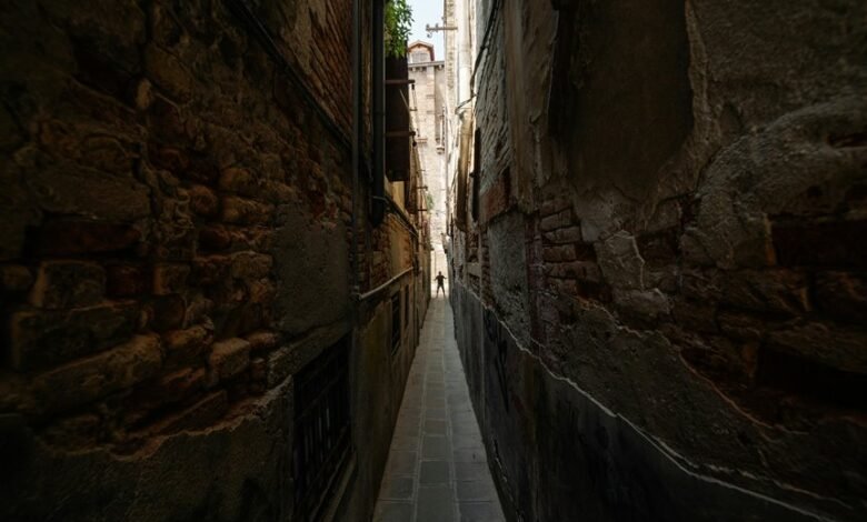 competitive market analysis overview