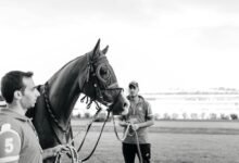 competitive signal evaluation summary