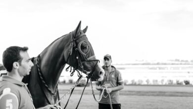 competitive signal evaluation summary