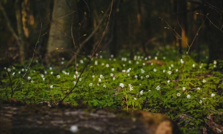 growth data analysis log