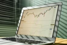 macro trend data analysis