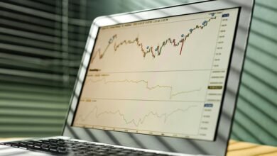 macro trend data analysis