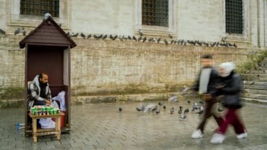 market interaction data summary