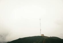 numerical data log entries