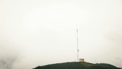 numerical data log entries